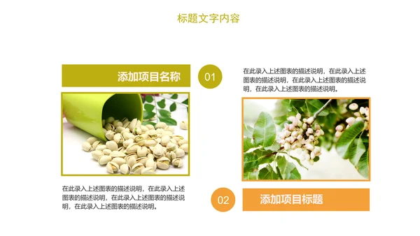 时尚开兴果美食干果食品ppt模板