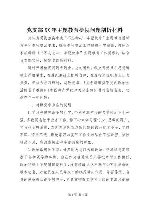 党支部某年主题教育检视问题剖析材料.docx