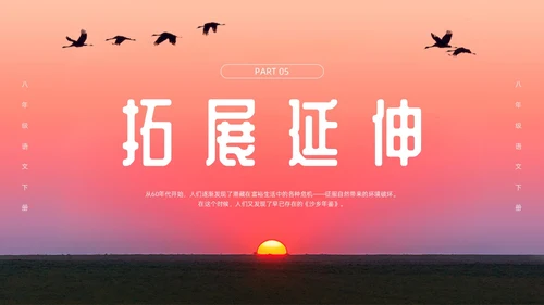 粉色简约八年级语文下册大雁归来PPT模板宣传PPT动态PP