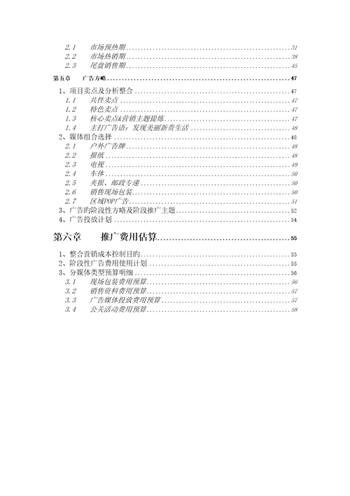 公司专项项目总体营销策略报告