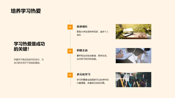 大学教育全景解析
