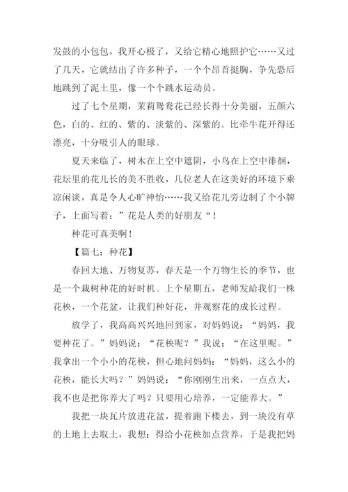 种花作文300字0.docx