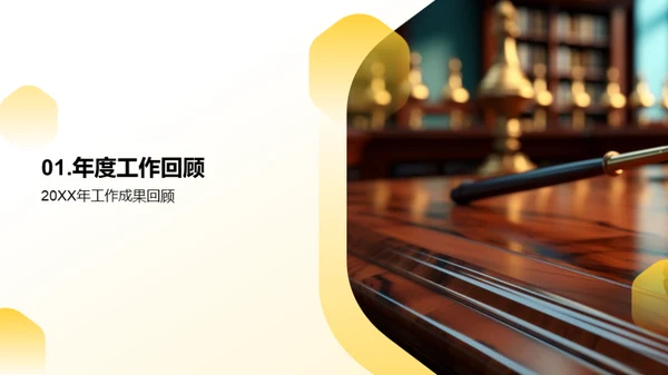 法律领域年度总结