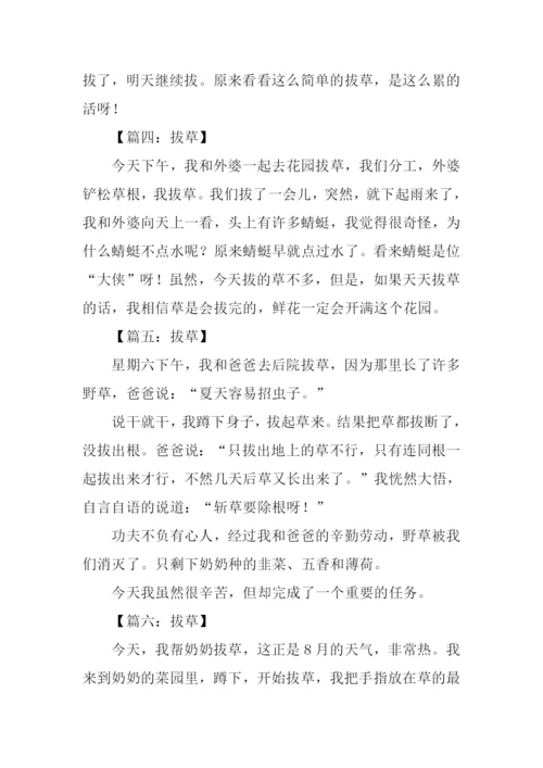 拔草作文100字0.docx