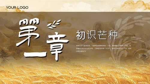 黄色古风中国传统文化二十四节气芒种课堂科普PPT模板