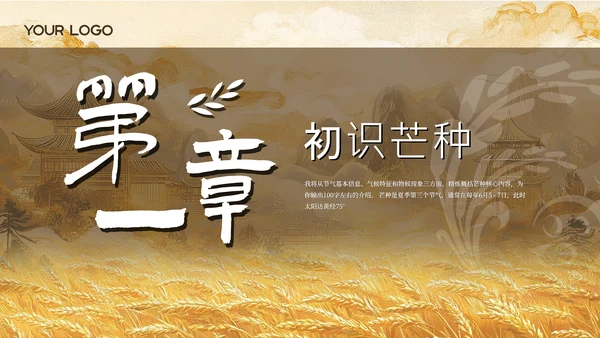黄色古风中国传统文化二十四节气芒种课堂科普PPT模板