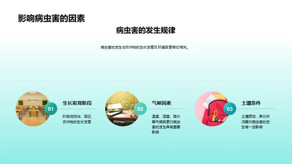 农作物病虫害全解析