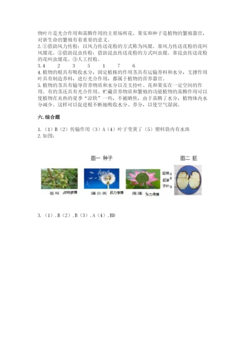 教科版四年级下册科学第一单元《植物的生长变化》测试卷精品加答案.docx