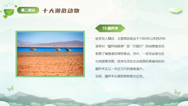 保护濒危动物，拯救美好生命通用PPT模板