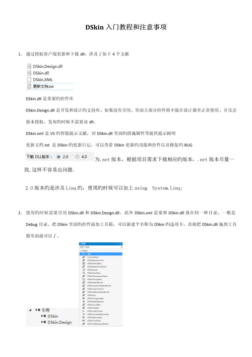 DSkin入门教程和注意关键事项新人必看.docx