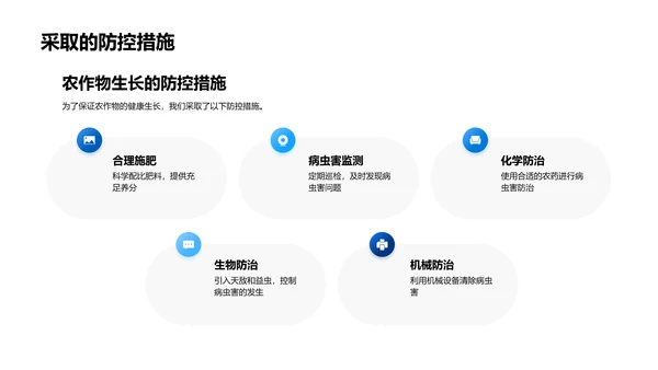 农业项目月报PPT模板