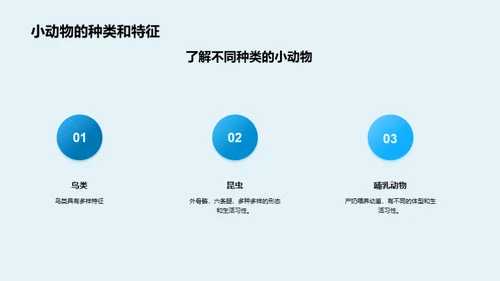 保护小动物