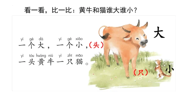 7《大小多少》第二课时（课件）