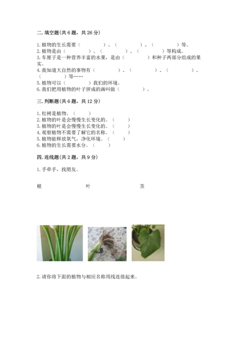 教科版科学一年级上册第一单元《植物》测试卷【名校卷】.docx