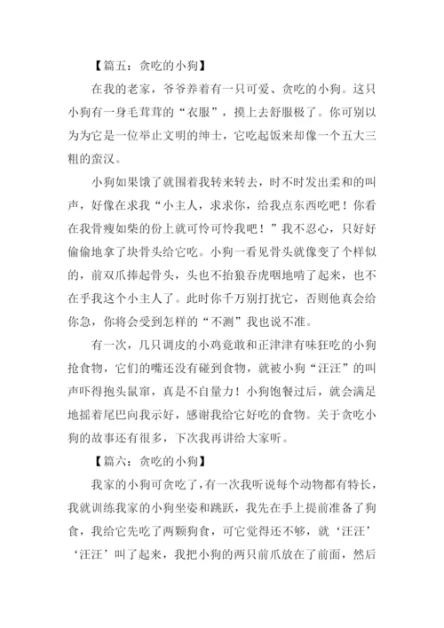 贪吃的小狗作文-2.docx