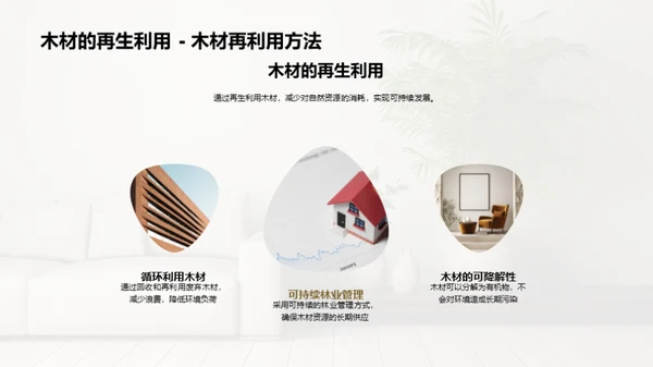 倡导绿色生活：木质装饰的力量