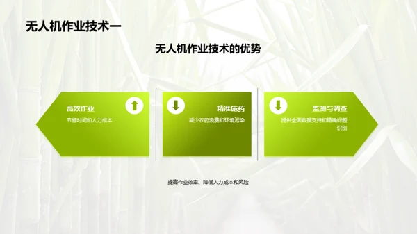 糖料种植的科技革命