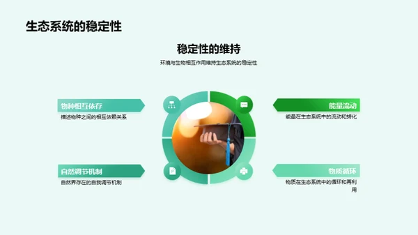 生态系统深度解析