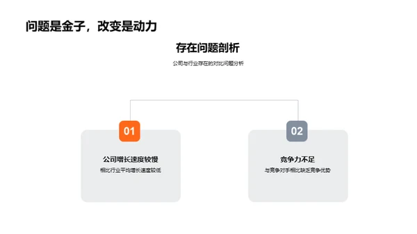 20XX年业绩回顾与前景展望