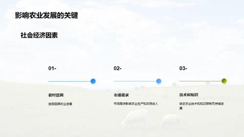 农业可持续发展模式