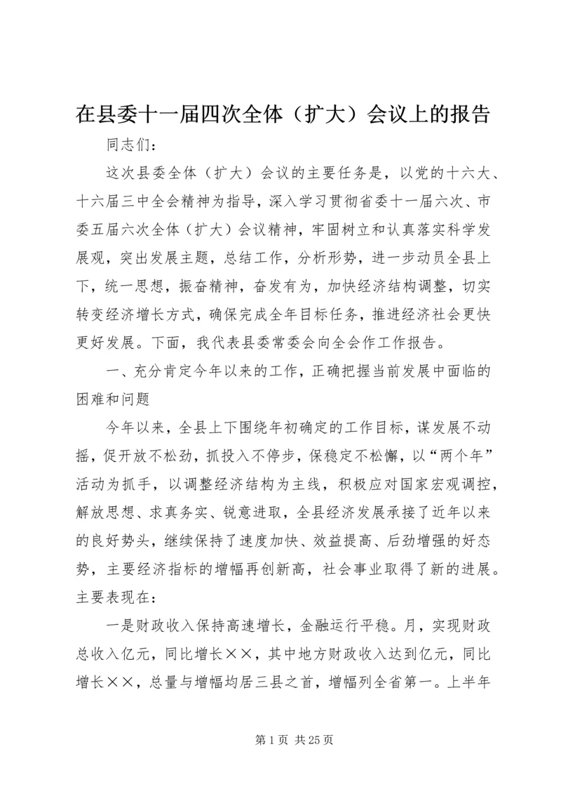 在县委十一届四次全体（扩大）会议上的报告.docx