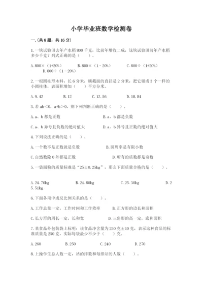 小学毕业班数学检测卷精品（典优）.docx