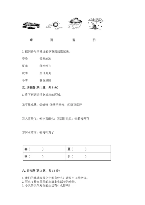 教科版二年级上册科学期末测试卷（模拟题）.docx