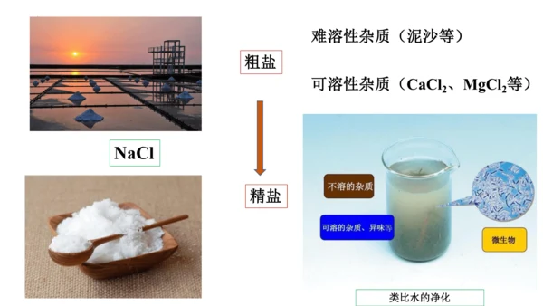 人教版九年级化学下册实验活动《粗盐的提纯》课件