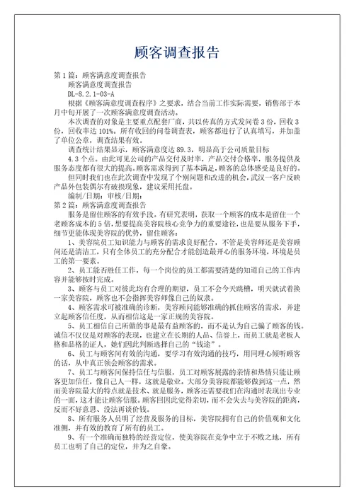 顾客调查报告