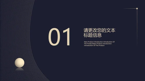 黑色简约风高端经典总结汇报PPT模板