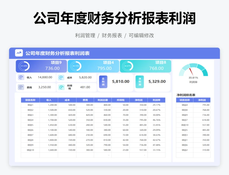 公司年度财务分析报表利润表