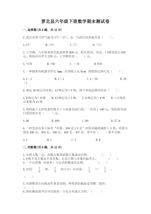 萝北县六年级下册数学期末测试卷（突破训练）.docx