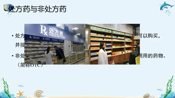 人教版八年级下册生物复习课件