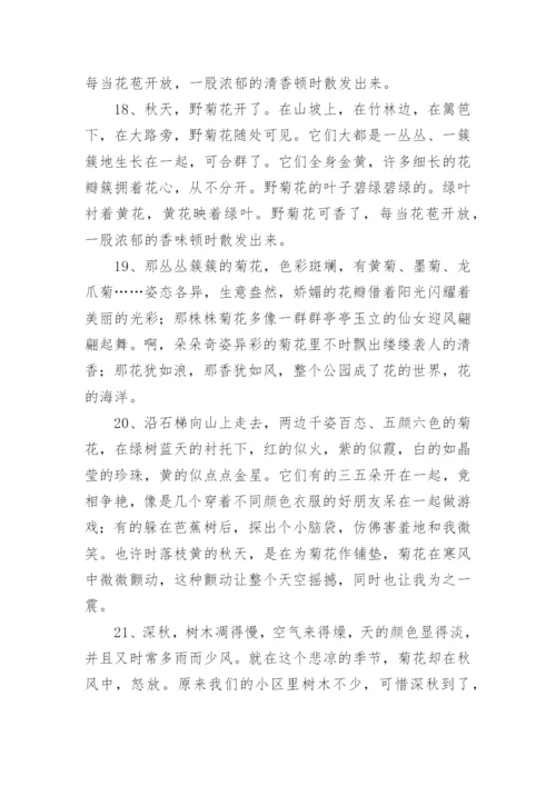 写菊花的优美句子.docx
