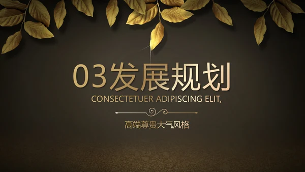 黑色高端大气商业计划书PPT动态模板