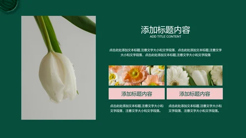 绿色商务风疗愈行业通用PPT演示模板