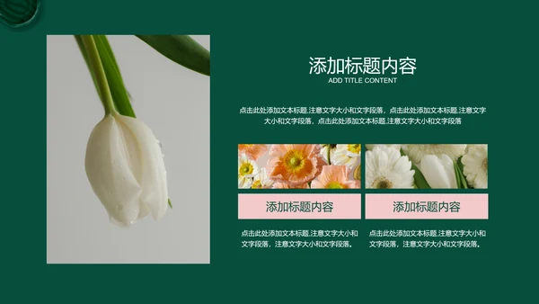 绿色商务风疗愈行业通用PPT演示模板