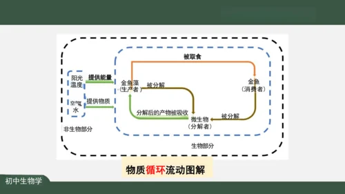 1.2.2 生物与环境组成生态系统 课件（共25张PPT）