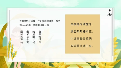 食粮丰收麦穗小满PPT模板