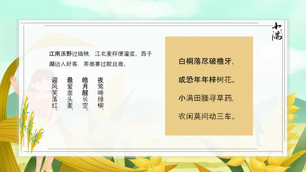 食粮丰收麦穗小满PPT模板