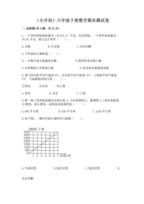 （小升初）六年级下册数学期末测试卷附完整答案（典优）.docx