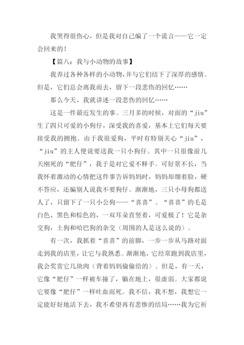 小动物的故事作文-1.docx