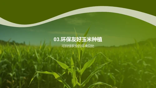 绿色农业：玉米种植新篇章