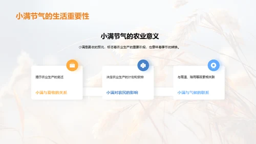 小满节气全解析