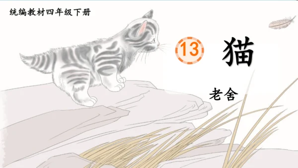 《13.猫》课件