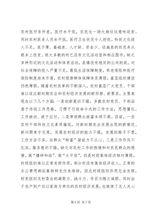 乡镇社会主义新农村建设调研报告.docx