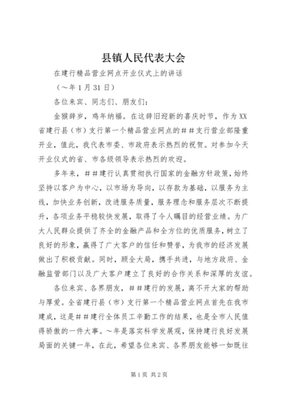 县镇人民代表大会.docx