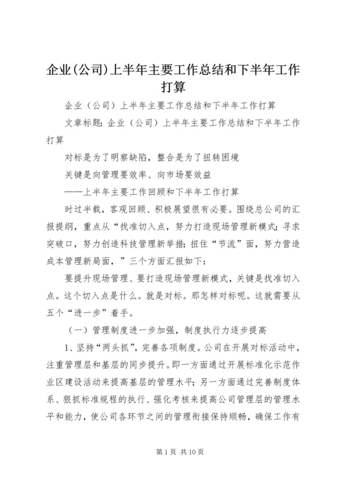 企业(公司)上半年主要工作总结和下半年工作打算.docx