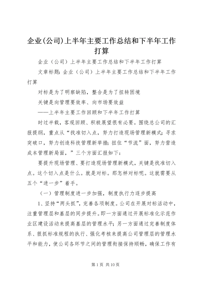 企业(公司)上半年主要工作总结和下半年工作打算.docx