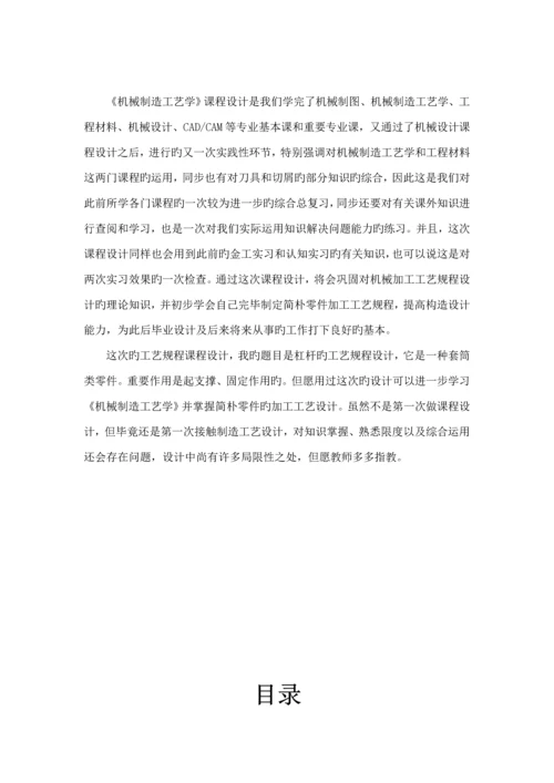 杠杆优质课程设计专项说明书.docx